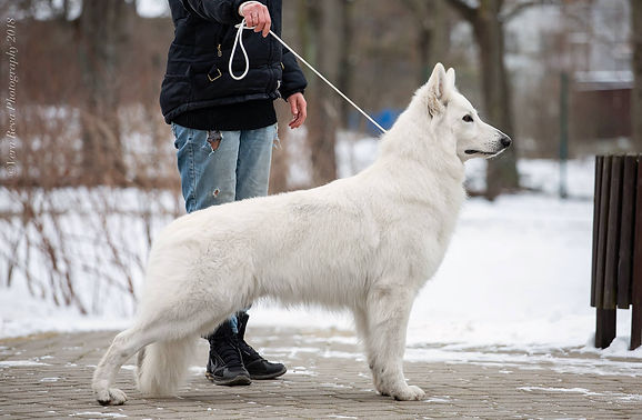 47382737_2094769017253300_38567081673962