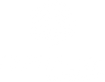 Logo Capital NE_Branco.png