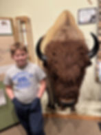 Young boy standing next to a life-sized stuffed buffalo at the Dakota Prairie Museum in Aberdeen, SD