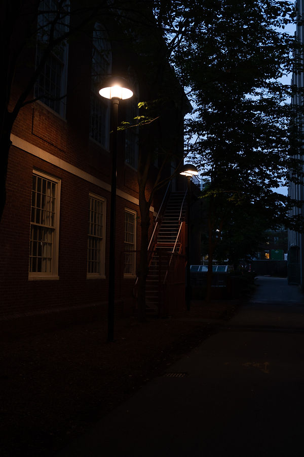night shoot 19-07_20230719_MJ_00016.jpg