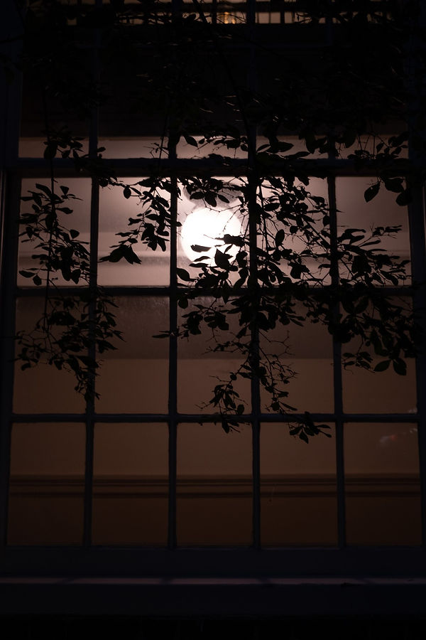 night shoot 19-07_20230719_MJ_00018.jpg