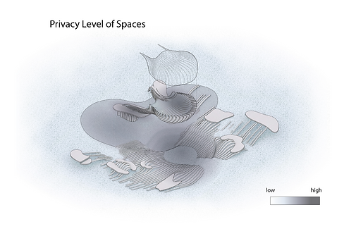 Asset 24privacy.png