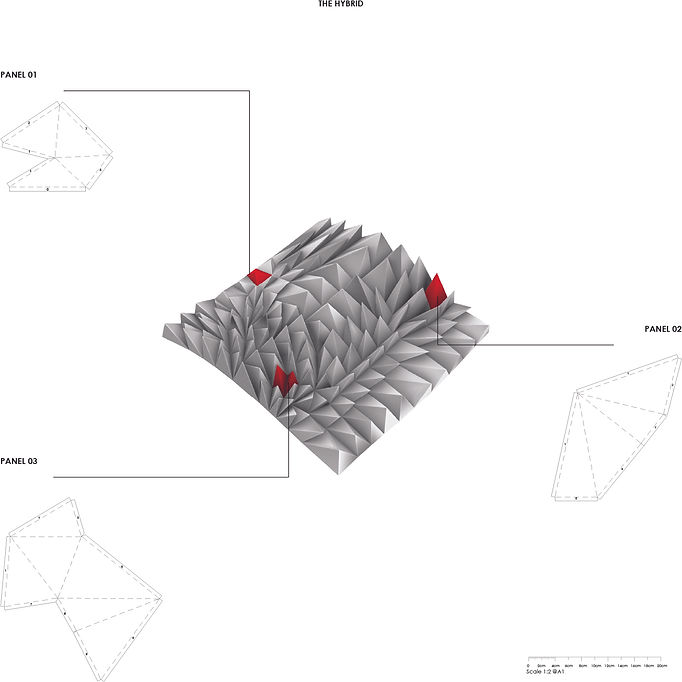 Asset 9.jpg