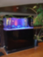 150 Acrylic -Mikuni Restaurant