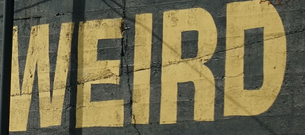 DSC00142.jpeg