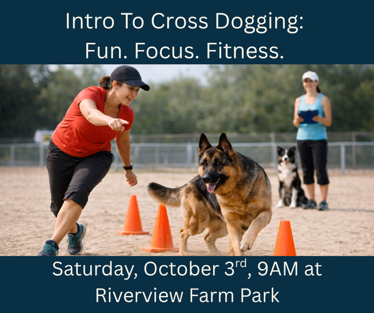 Intro To Cross Dogging