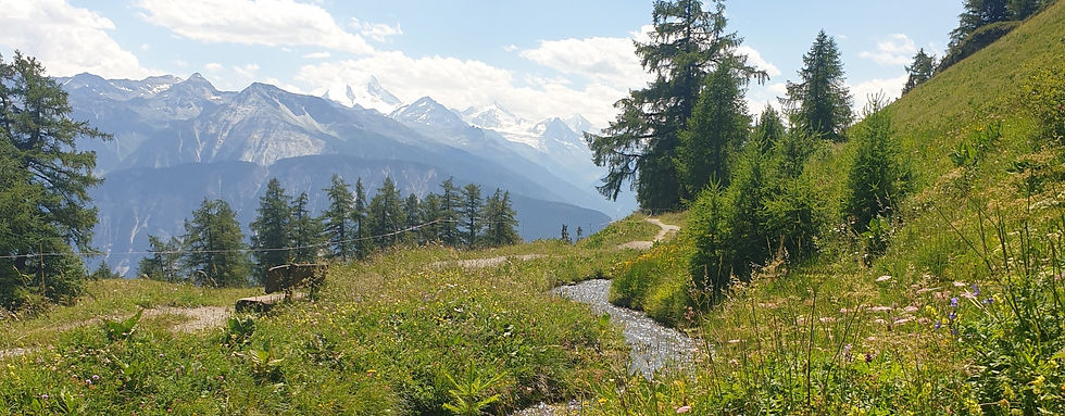 Naturopathie geneve