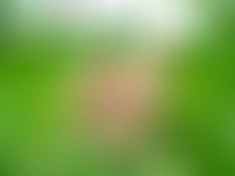 Vivons en conscience!