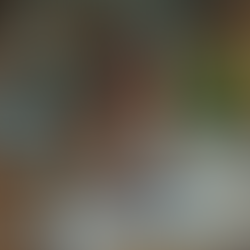 Proven Strategies for Business Growth