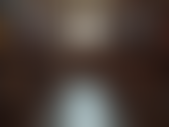 Discovering the Philosophy of Gazette ViaVitae