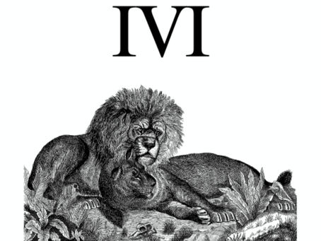 Mission Report: Neutralizing Severe Metaphysical Interference & Visual Disturbances