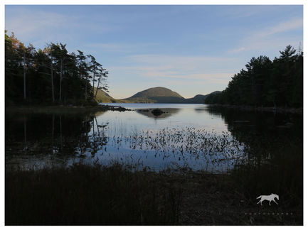 North Bubble View, Across Jordan Pond. Acadia National Park, Maine.