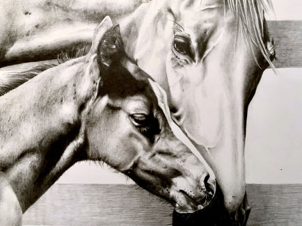Mare And Foal - Pencil: Detail