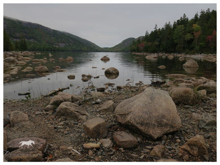 View Across Bubble Pond, Acadia National Park, Maine.