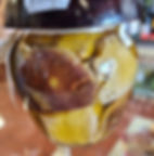 Funghi porcini tagliati