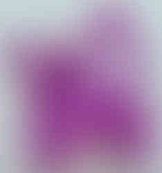 Version 1 of Rattata from the Mega Construx 2017 set FNL87-RATTATA