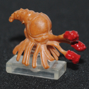 Flood Infection Form