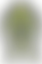 Master Chief: Halo 2 Character Pack
