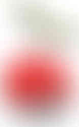 This article contains PDF instructions and detailed information about the Mega Construx 2017 Pokémon set Geodude (FNL86).