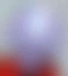 Shellder version 1 from the Mega Construx 2018 Pokémon set Shellder (FNL90).