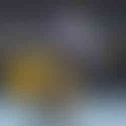 On the front line, a Grunt Spec OPS and a Grunt Heretic await further orders.