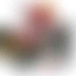 96956 - Mega Halo Red Team: Weapons Pack