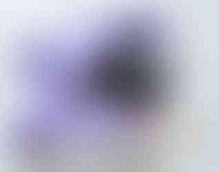 Shellder version 1 from the Mega Construx 2018 Pokémon set Shellder (FNL90).