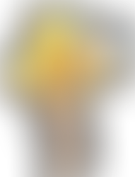 Heretic Grunt - Halo 2 Character Pack