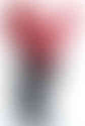 Spec Ops Grunt v1 Crimson