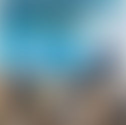 Multiplayer Mayhem: To Buy or not To Buy