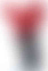 Spec Ops Grunt v1 Crimson