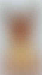 Eevee version 2 from the Mega Construx 2018 Pokémon set Rowlet vs Eevee (FPM08).  