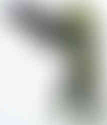 PAX / Halo Fest Green Spartan II from Mega Bloks Set 99660 HALO CE UNSC WARTHOG