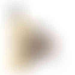 This article contains PDF instructions and detailed information about the 2017 Mega Construx Pokémon set Mimikyu (FPM01).