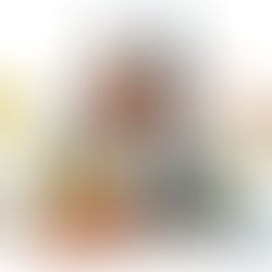 This article is a detailed review of the Mega Construx Pokémon set FNF08 Volcano Rivals. 