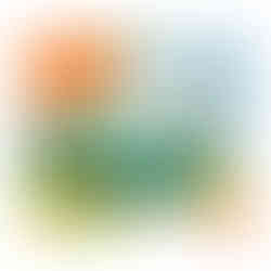 This post contains detailed information and a PDF instruction manual on Ivysaur (DYF13) from the Mega Construx Pokémon Series.