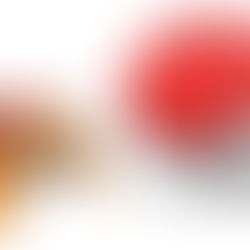 This article contains PDF instructions and detailed information about the Mega Construx Pokémon set Paras (FFJ94).