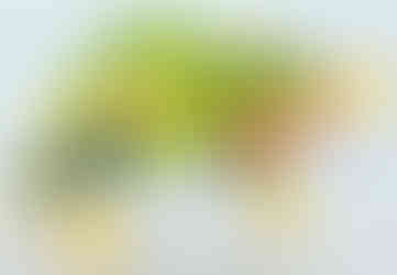 Spinarak version 1 from the Mega Construx 2017 Pokémon set Spinarak (FPM04).  