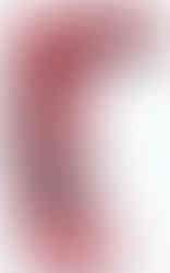 Crimson Combat Elite