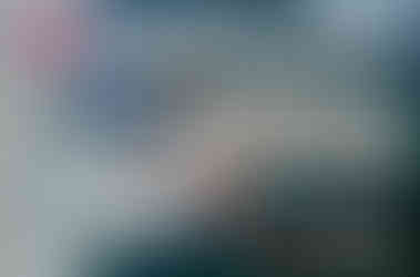 This article contains detailed information about the 2004 Mega Bloks USS Enterprise D (9777).  