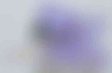 Shellder version 1 from the Mega Construx 2018 Pokémon set Shellder (FNL90).