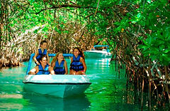 JUNGLE TOUR MARINA BARRACUDA.jpg