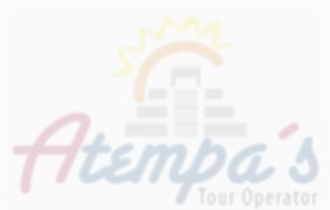 logo%252520atempas%2525202_edited_edited