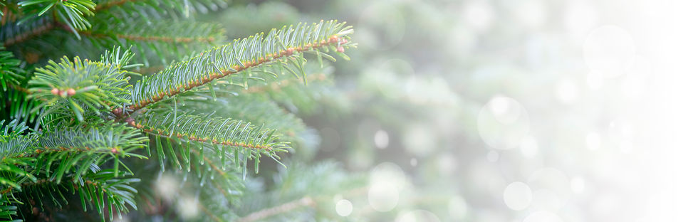 christmas-background-with-snowy-branches