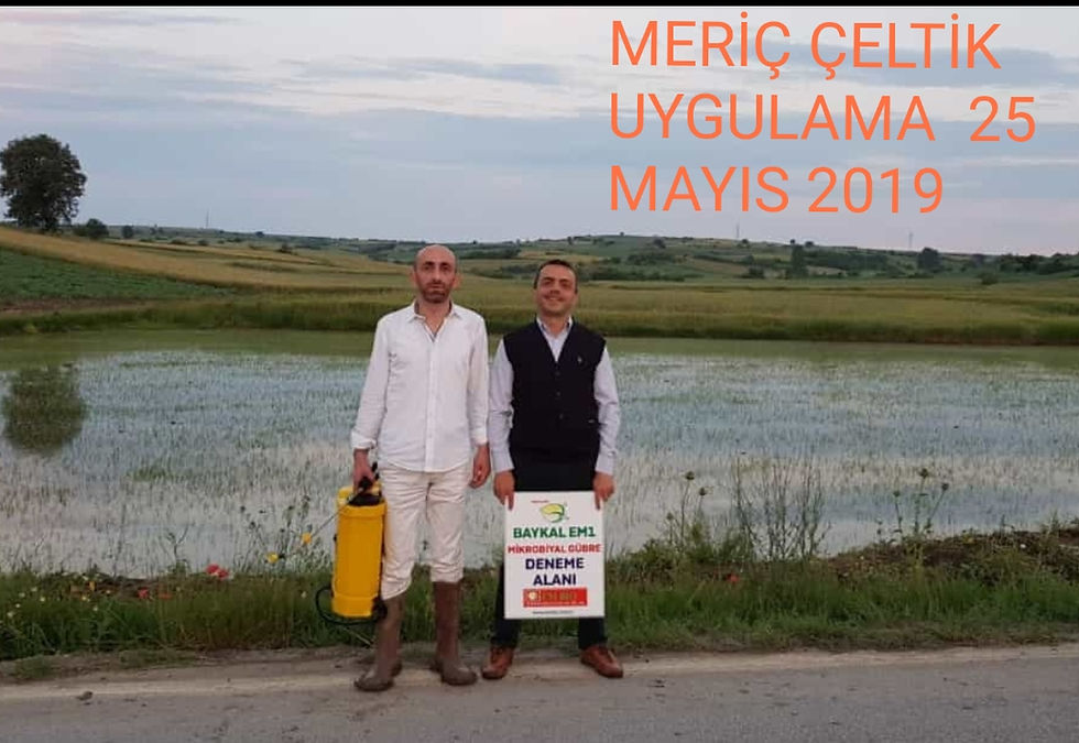 meriç çeltik (2).jpg