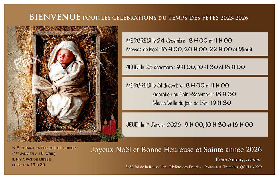 WEB Pub Noel Sanc.jpg