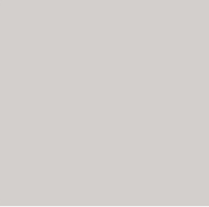 Formica generica gris-nube.png