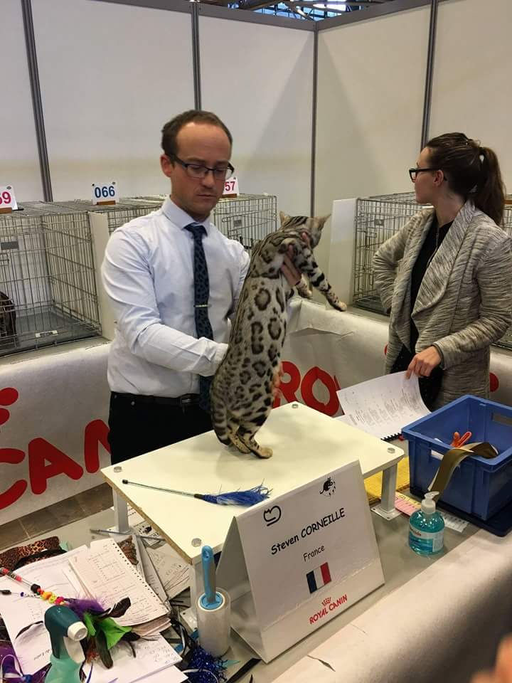 liliexpo2