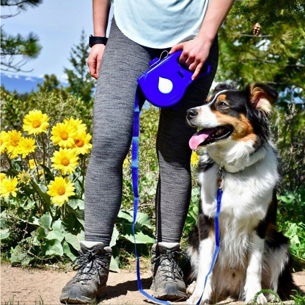 Thumbnail: Automatic Retractable Leash