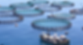 Captura de pantalla 2025-06-12 a las 17.44.20.png